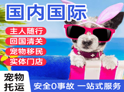 荷花航空物流国际宠物托运 【国